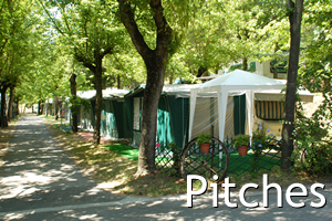 m.camping-arizona en campsite-emilia-romagna-camping-arizona 009